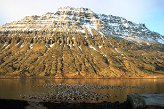 Kollurnar  firinum
Bjarfjall Es